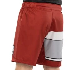 Fuji Electric Grappling Fight Shorts -Boxing Martial Arts Shop 10 1600x1600 11c6a442 16e7 4bdb 8832 18a2dd786708