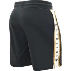 RDX SPORTS RDX T17 AURA TRAINING SHORTS -Boxing Martial Arts Shop RDX T17 Aura Training Shorts 1