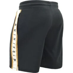 RDX SPORTS RDX T17 AURA TRAINING SHORTS -Boxing Martial Arts Shop RDX T17 Aura Training Shorts 2