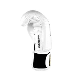 Combat Corner HMIT Boxing Gloves 37 Combat Corner HMIT Boxing Gloves -Boxing Martial Arts Shop WHITE GOLD HMIT GLOVES right 86230