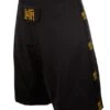LUTA Fight Shorts