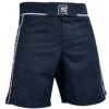 Combat Corner Pro MMA 2.0 Fight Shorts -Boxing Martial Arts Shop pro Short black main angle view