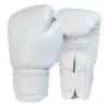 Combat Corner Recruit No Logo Boxing Gloves White -Boxing Martial Arts Shop recruit no logo boxing gloves white 159