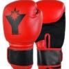 Combat Corner Youngstar 6oz. Youth Boxing Gloves 1 Combat Corner Youngstar 6oz. Youth Boxing Gloves -Boxing Martial Arts Shop youngstar 6oz youth boxing gloves 121