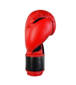 Combat Corner Youngstar 6oz. Youth Boxing Gloves -Boxing Martial Arts Shop youngstar 6oz youth boxing gloves 123